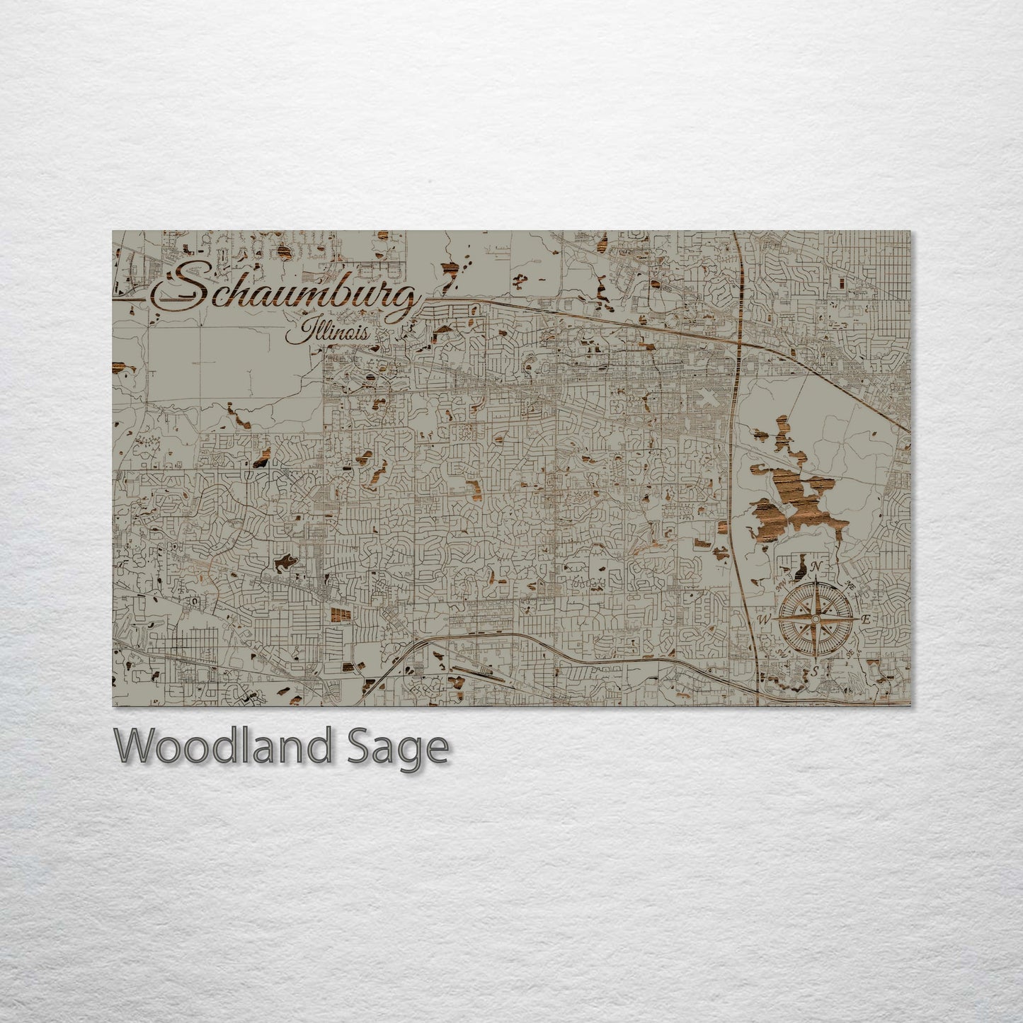 Schaumburg, Illinois Street Map