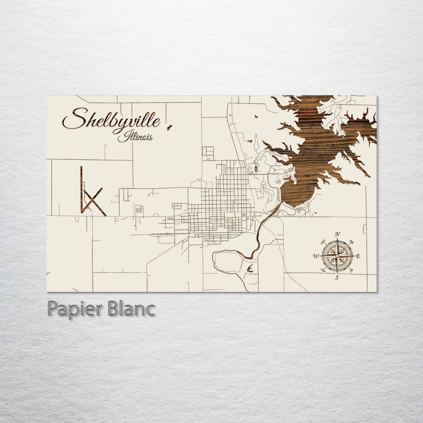 Shelbyville, Illinois Street Map