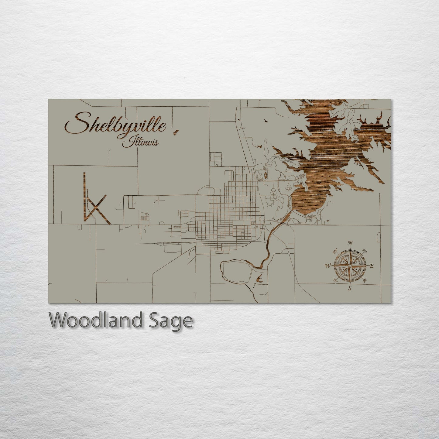 Shelbyville, Illinois Street Map