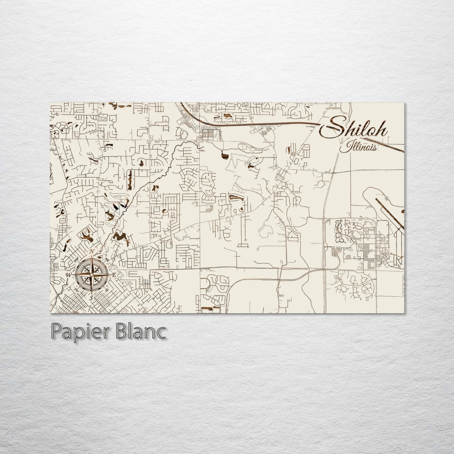 Shiloh, Illinois Street Map