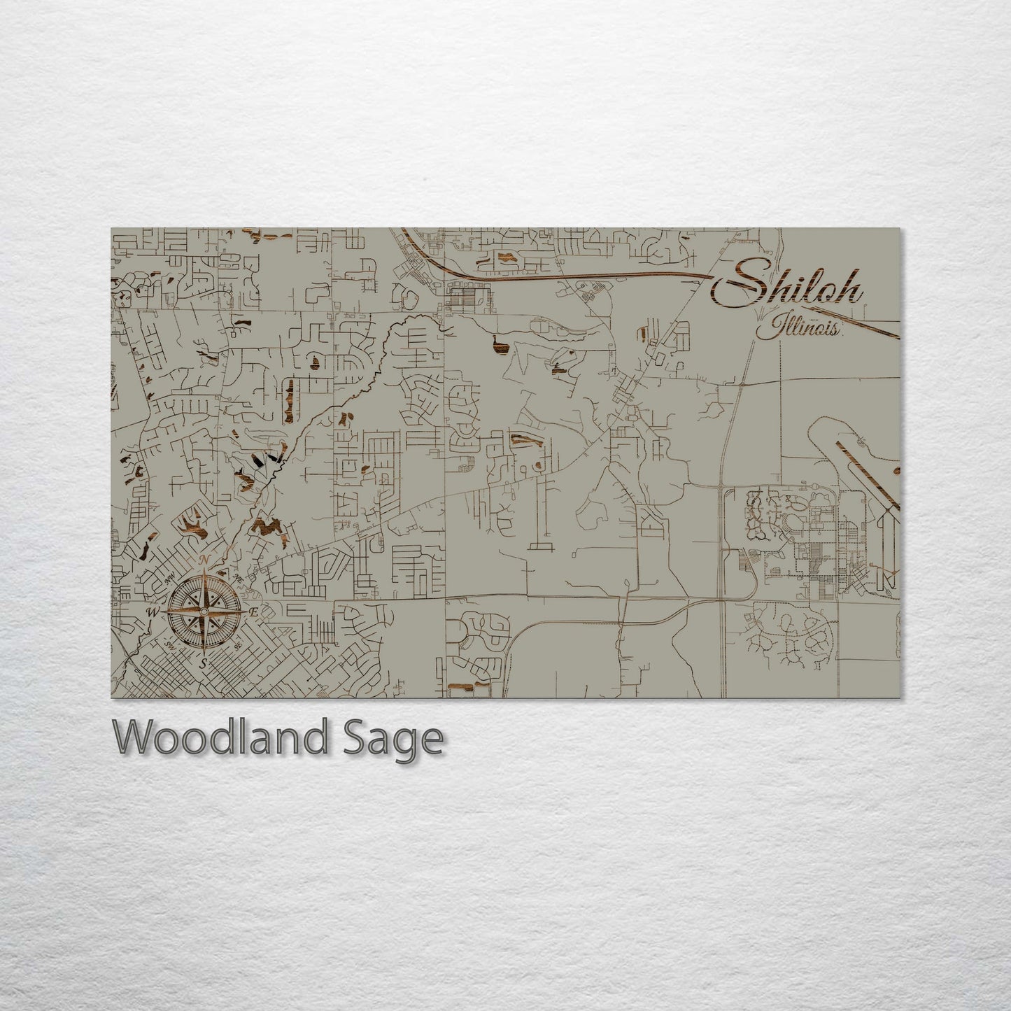 Shiloh, Illinois Street Map