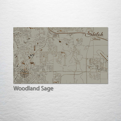 Shiloh, Illinois Street Map