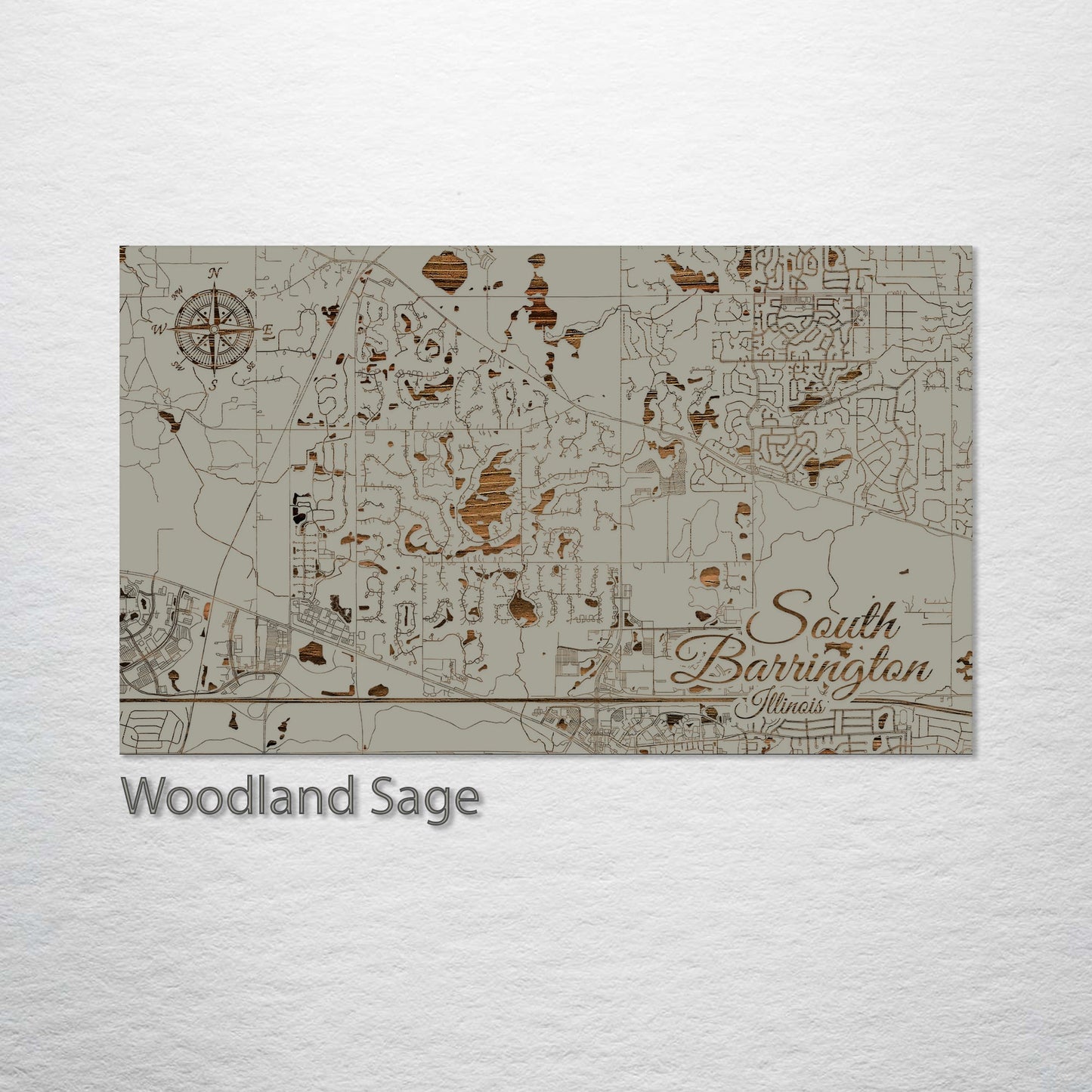 South Barrington, Illinois Street Map