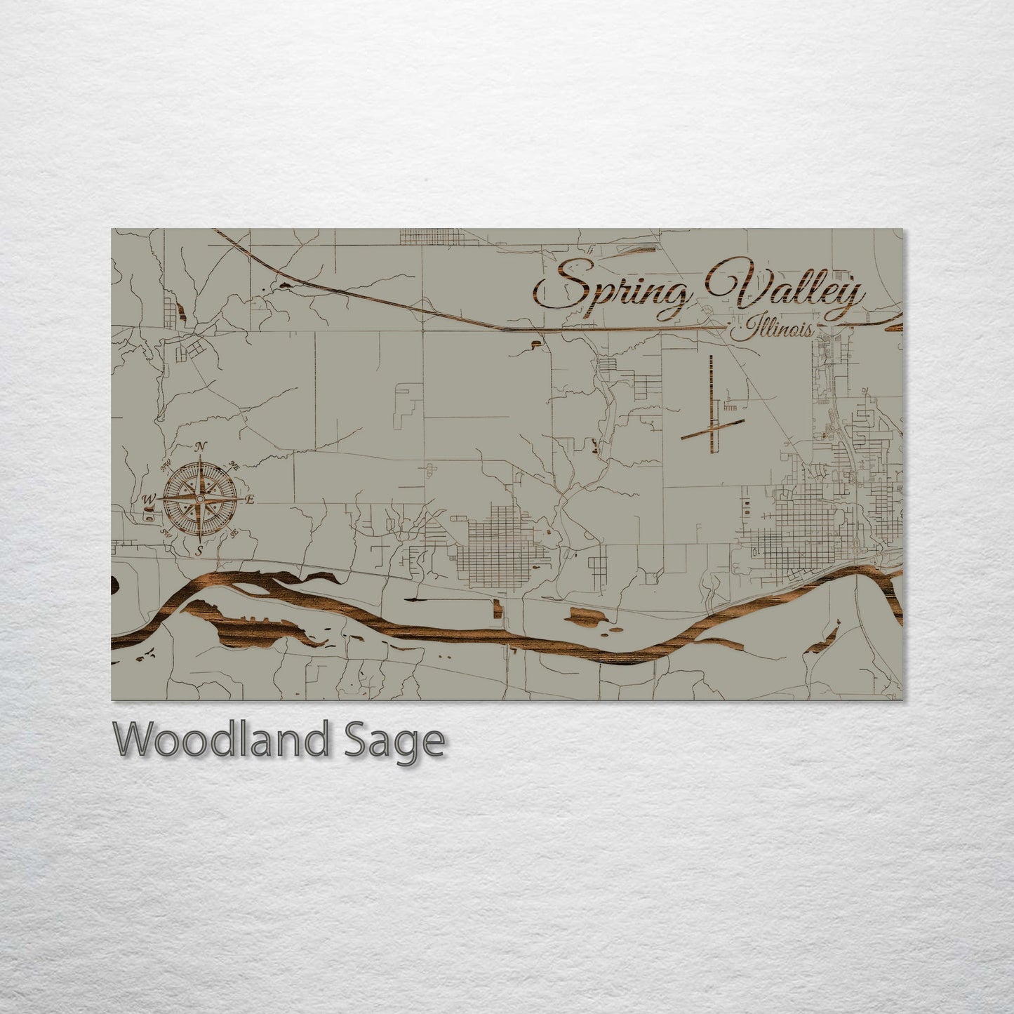 Spring Valley, Illinois Street Map