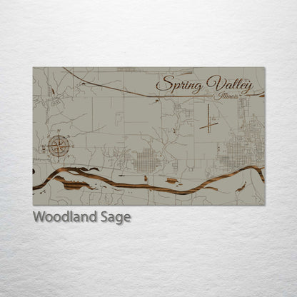 Spring Valley, Illinois Street Map
