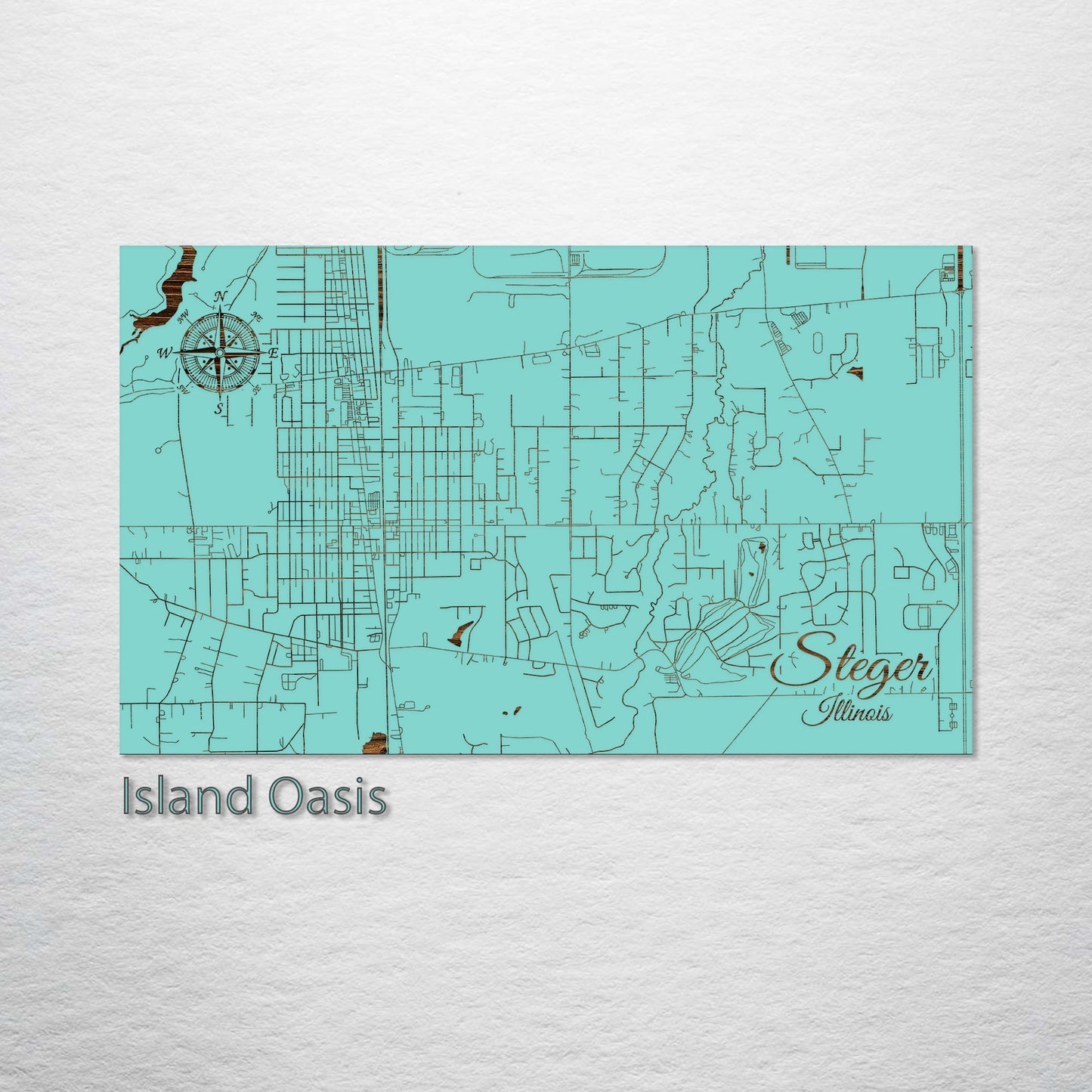 Steger, Illinois Street Map