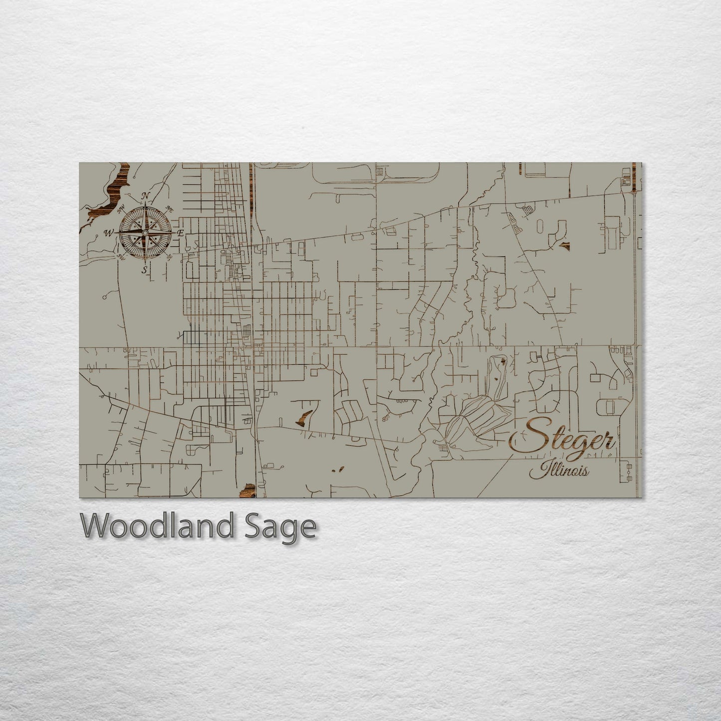 Steger, Illinois Street Map