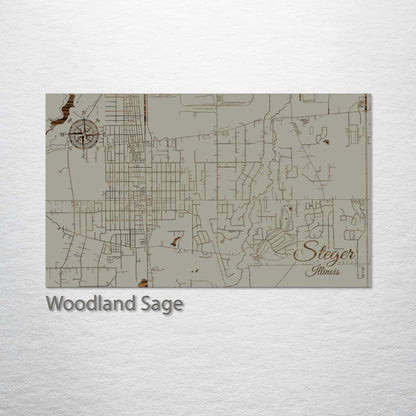 Steger, Illinois Street Map