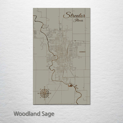 Streator, Illinois Street Map