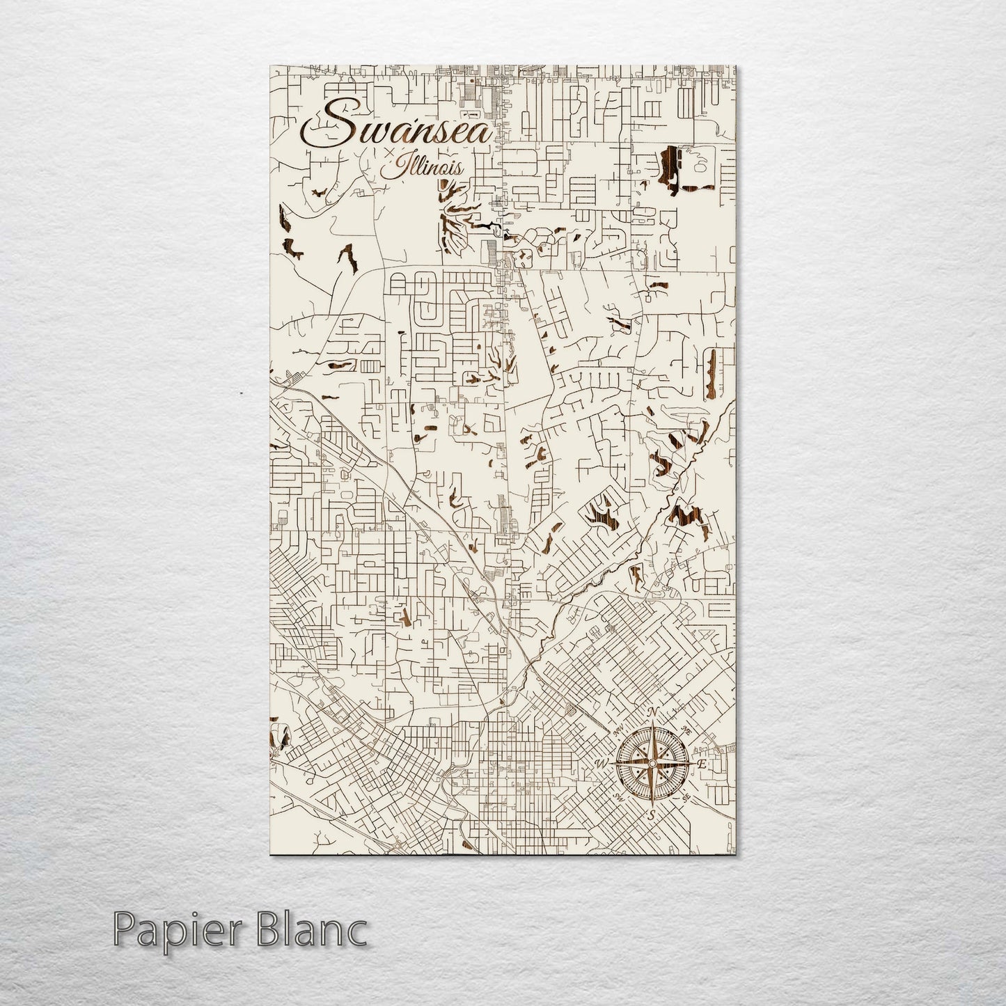 Swansea, Illinois Street Map