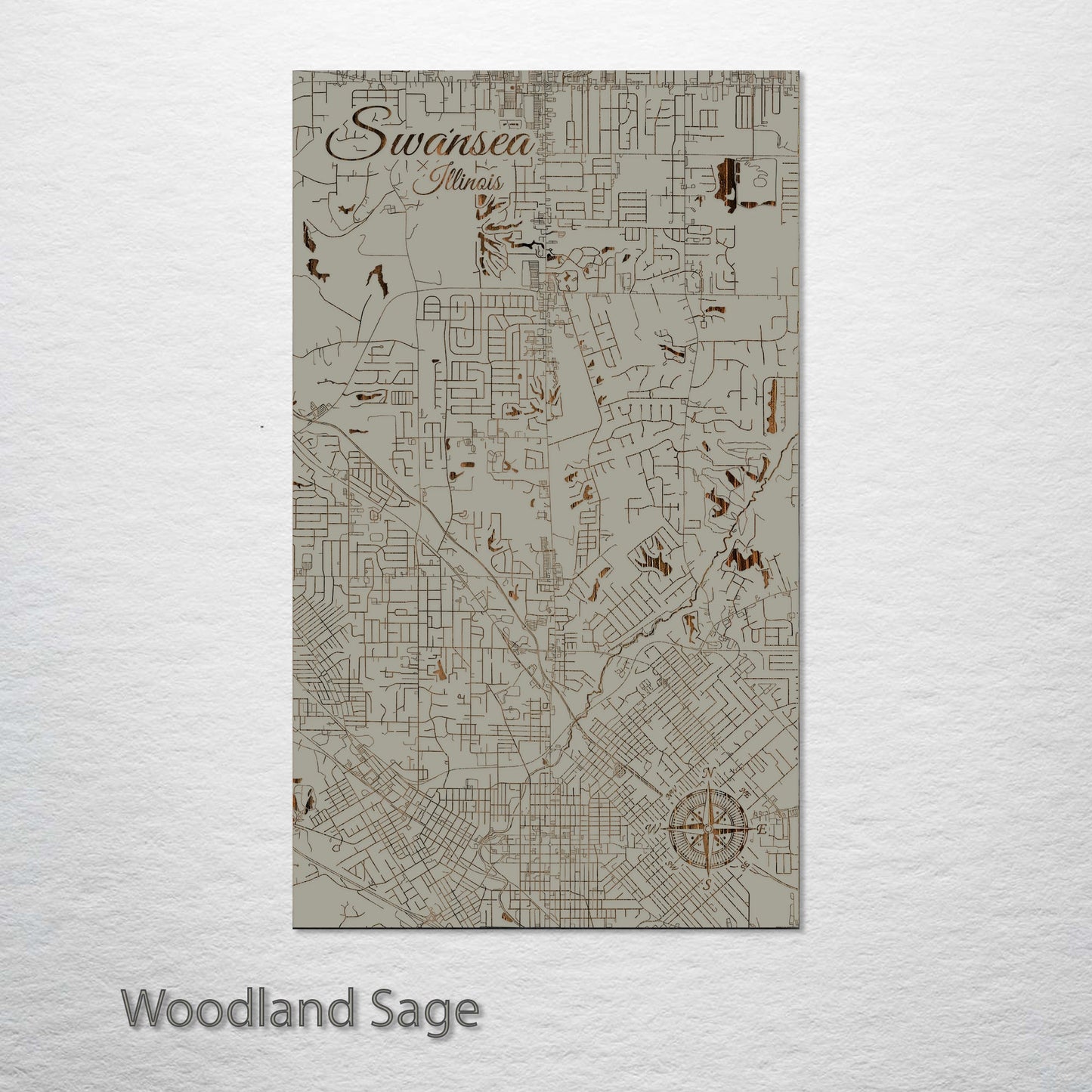 Swansea, Illinois Street Map