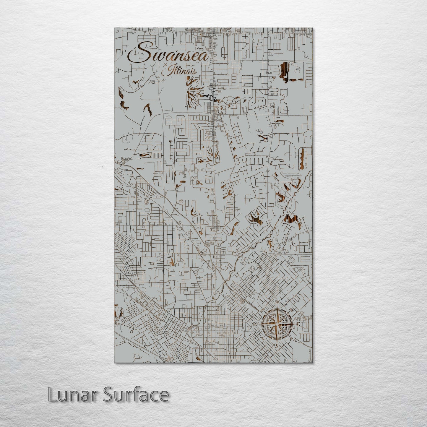 Swansea, Illinois Street Map