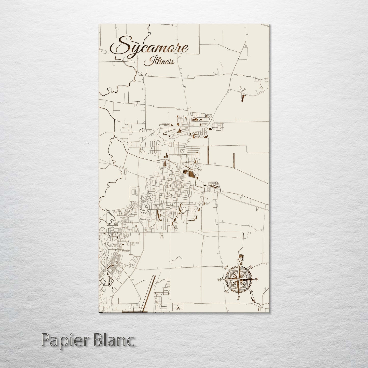 Sycamore, Illinois Street Map