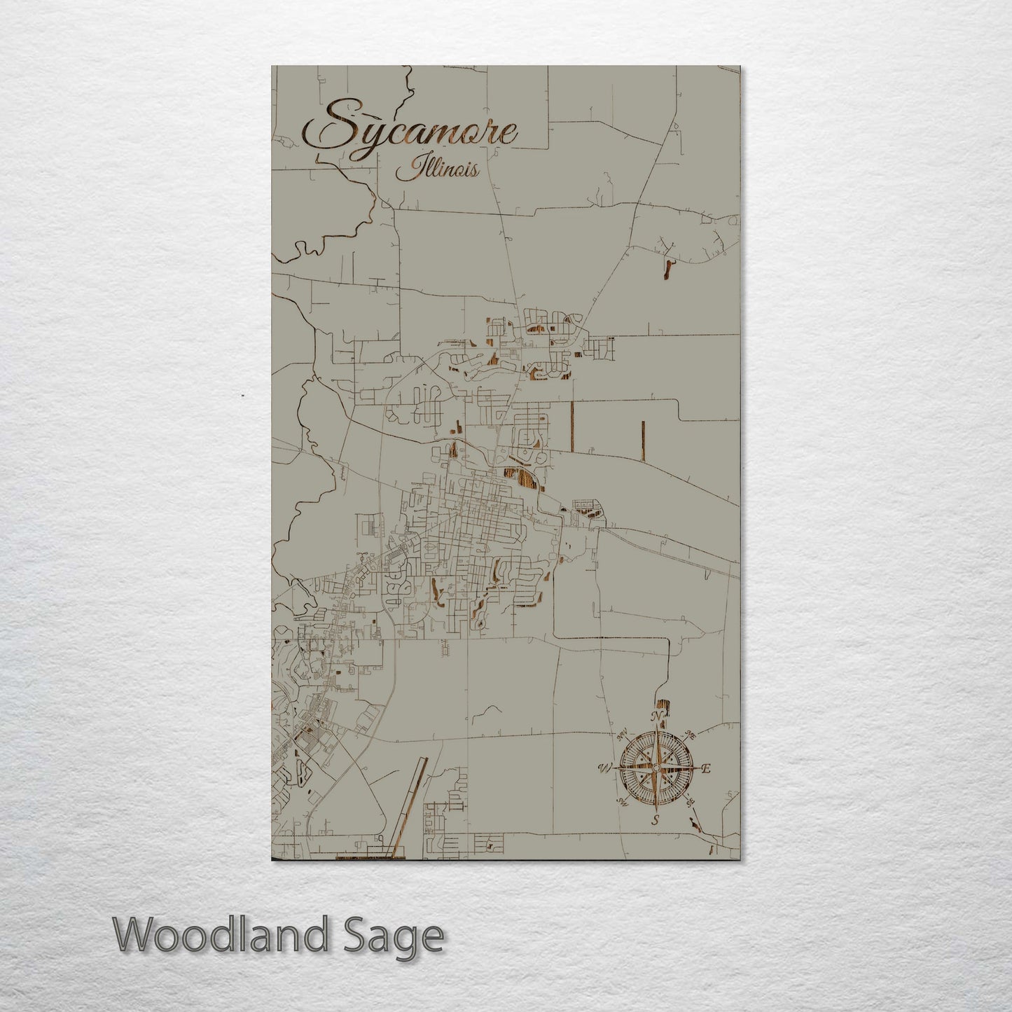 Sycamore, Illinois Street Map