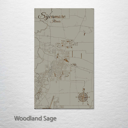 Sycamore, Illinois Street Map
