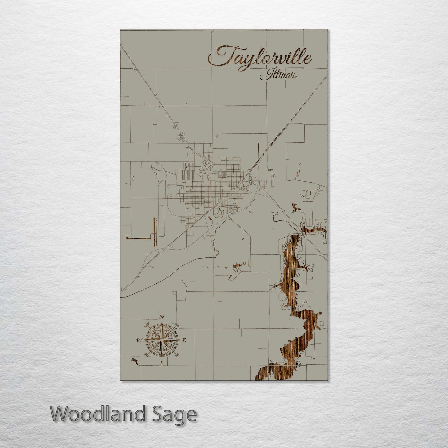 Taylorville, Illinois Street Map