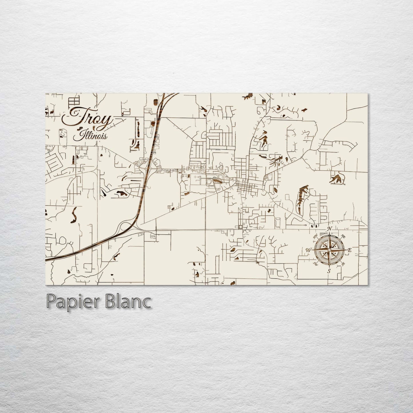 Troy, Illinois Street Map