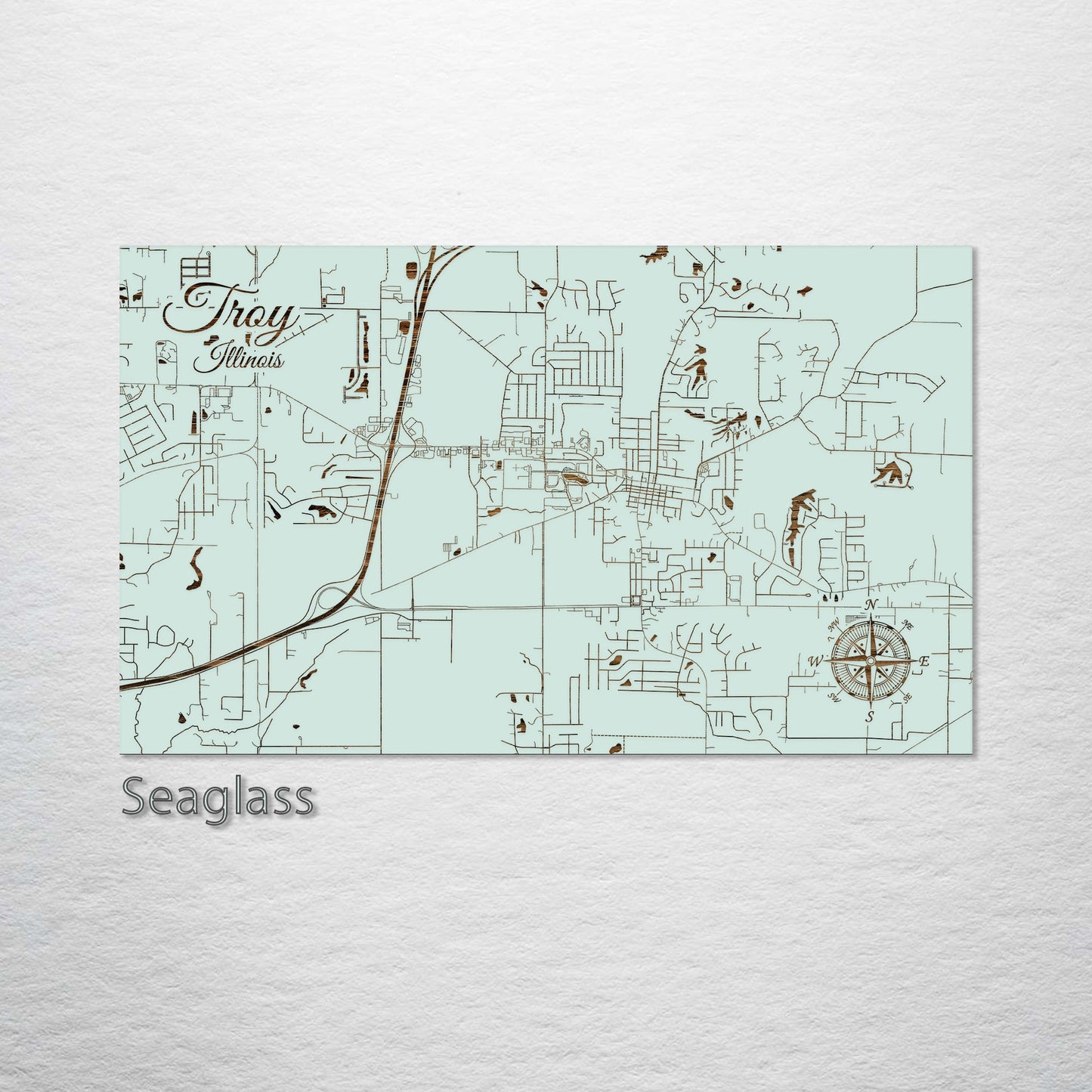 Troy, Illinois Street Map