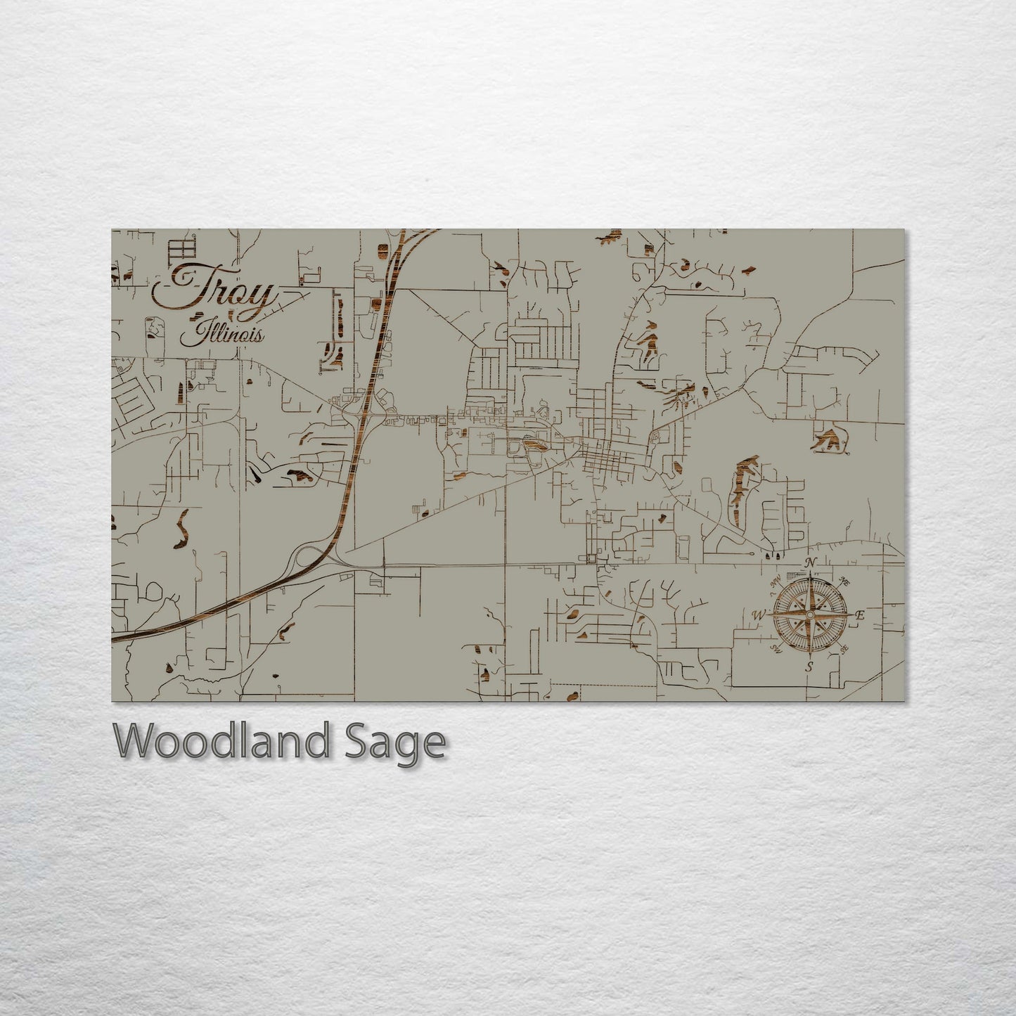 Troy, Illinois Street Map