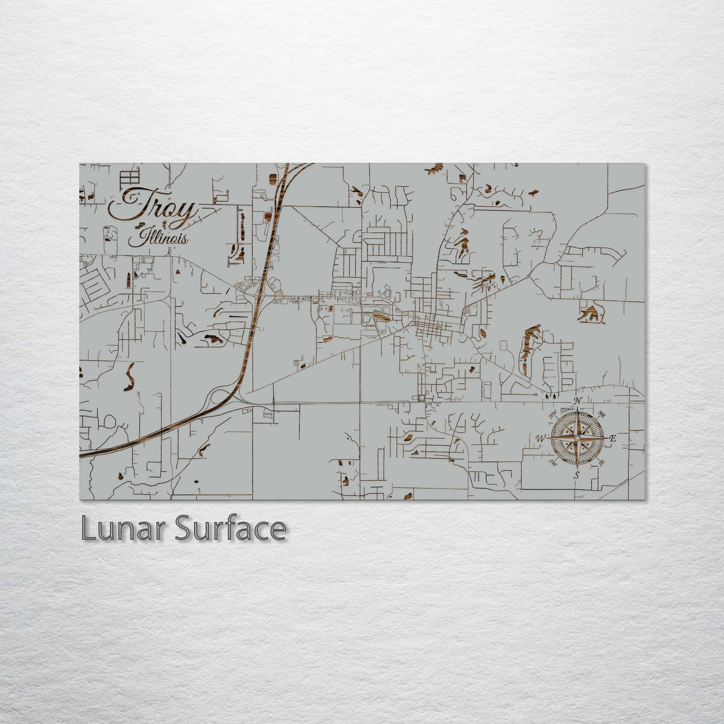 Troy, Illinois Street Map