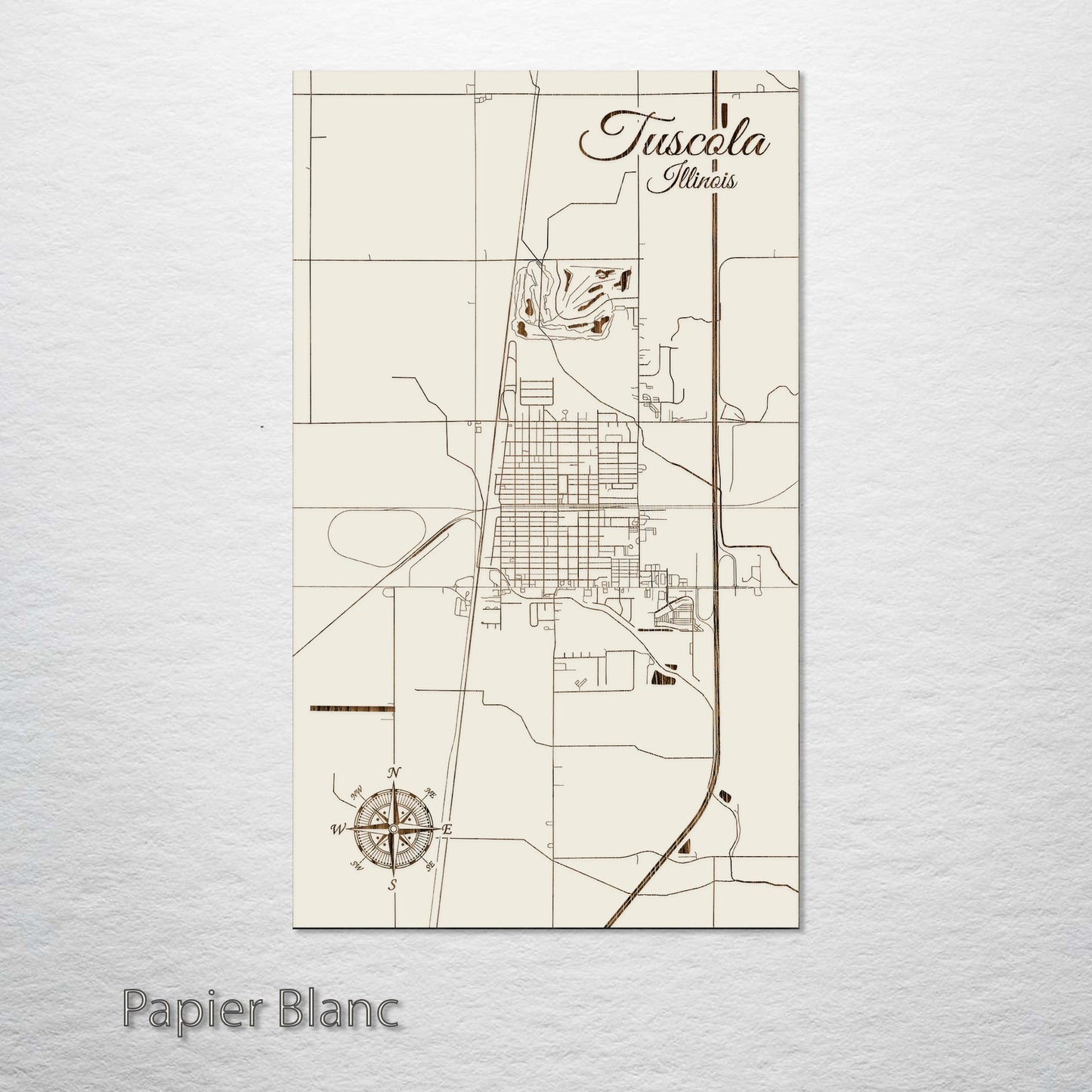 Tuscola, Illinois Street Map