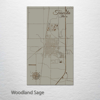 Tuscola, Illinois Street Map