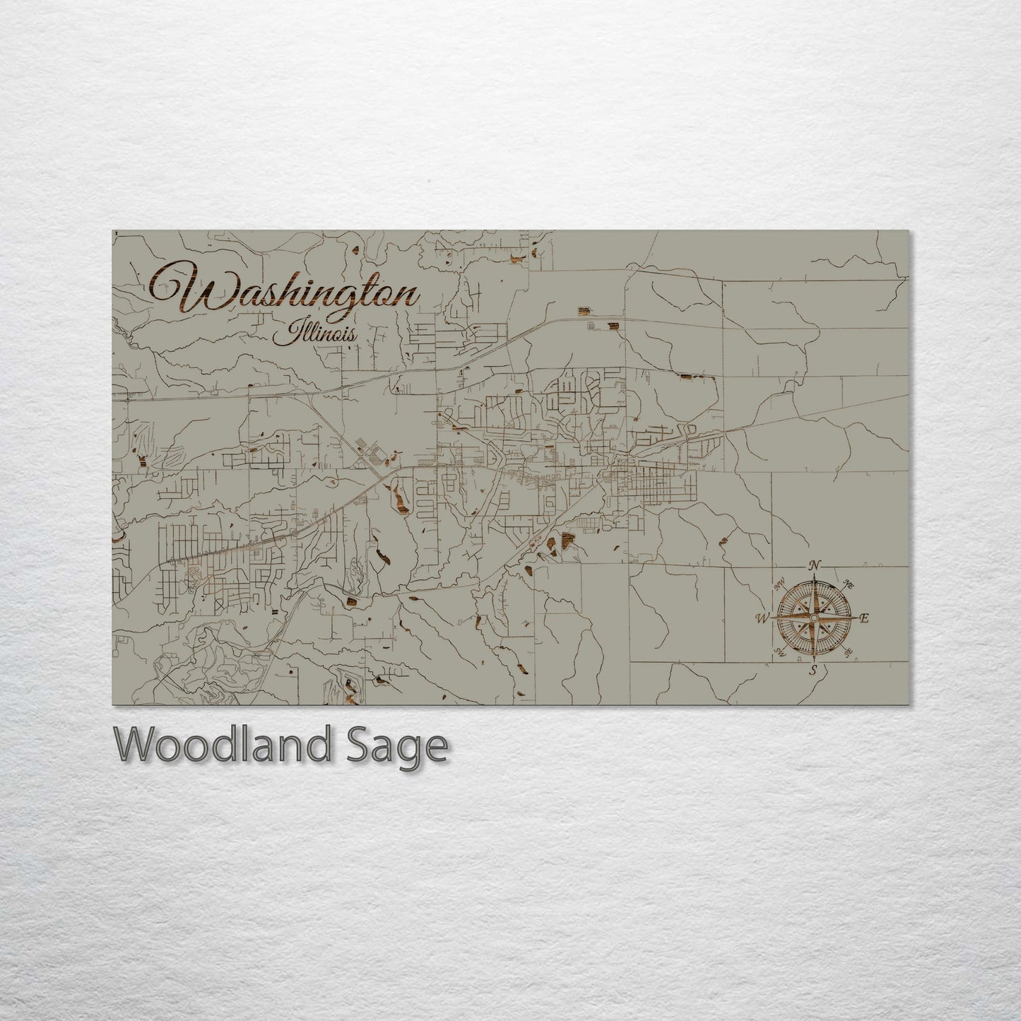 Washington, Illinois Street Map