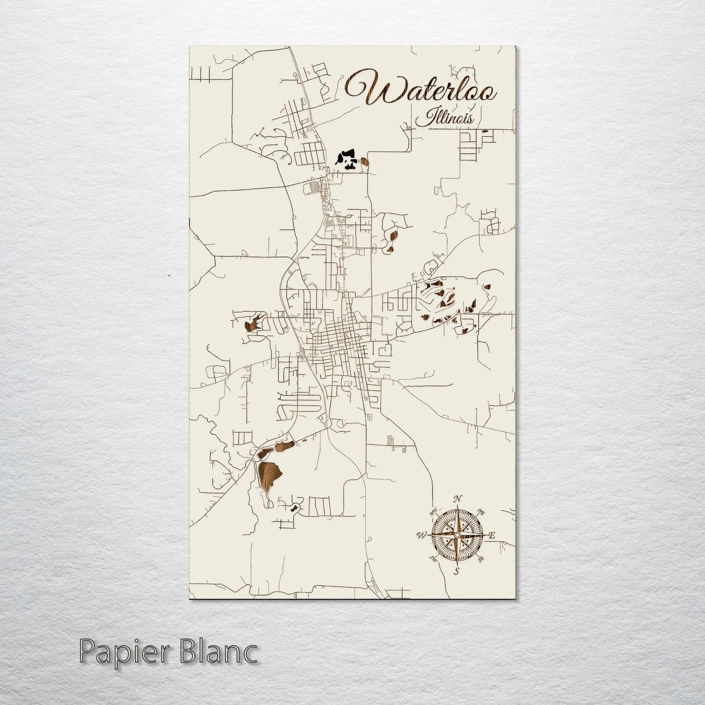 Waterloo, Illinois Street Map