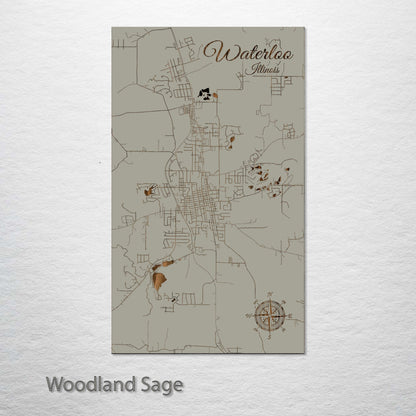 Waterloo, Illinois Street Map