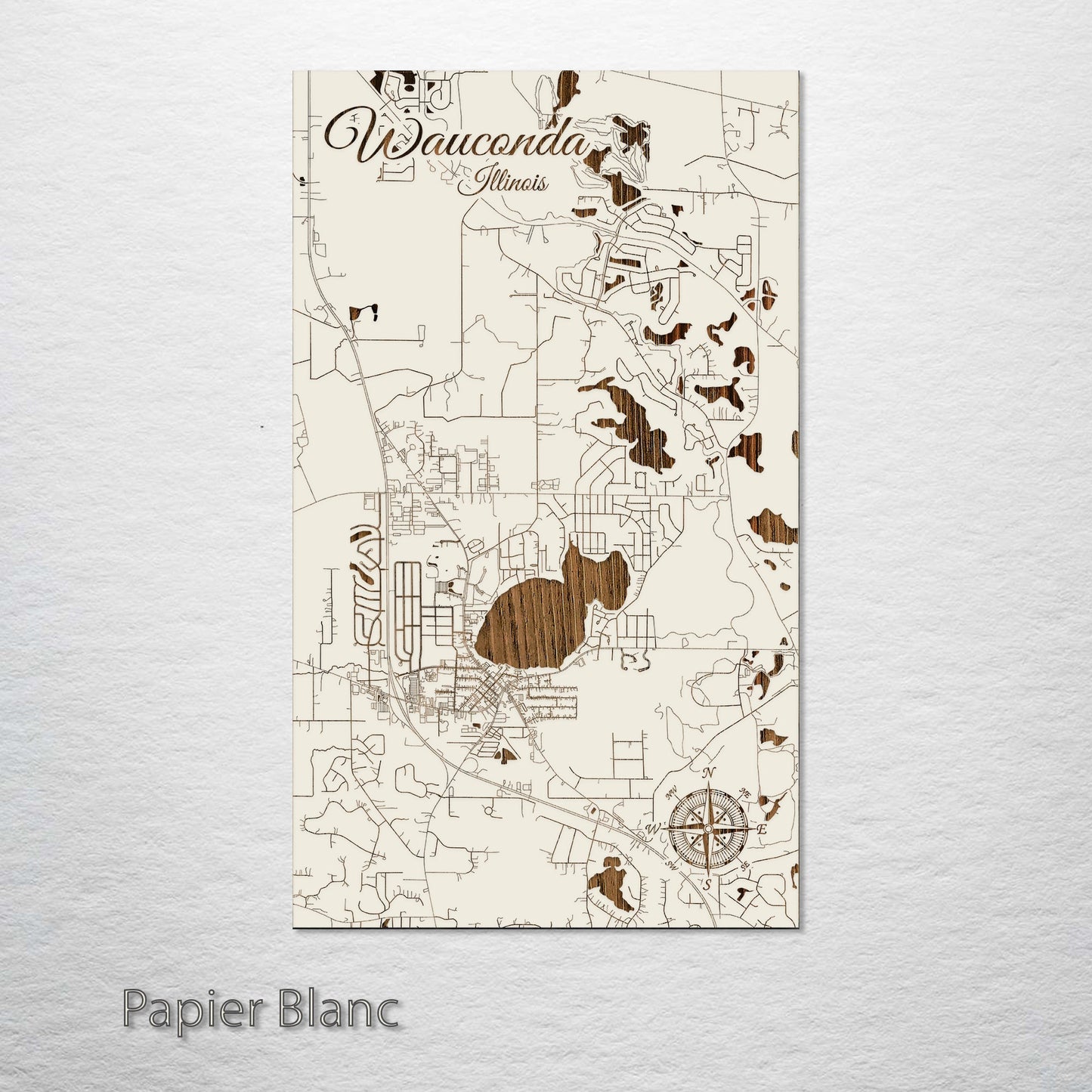 Wauconda, Illinois Street Map