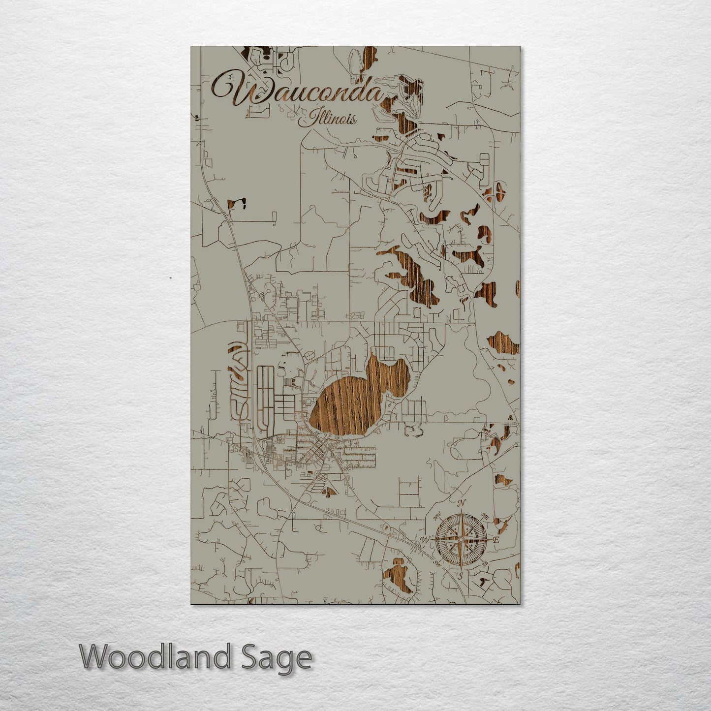 Wauconda, Illinois Street Map