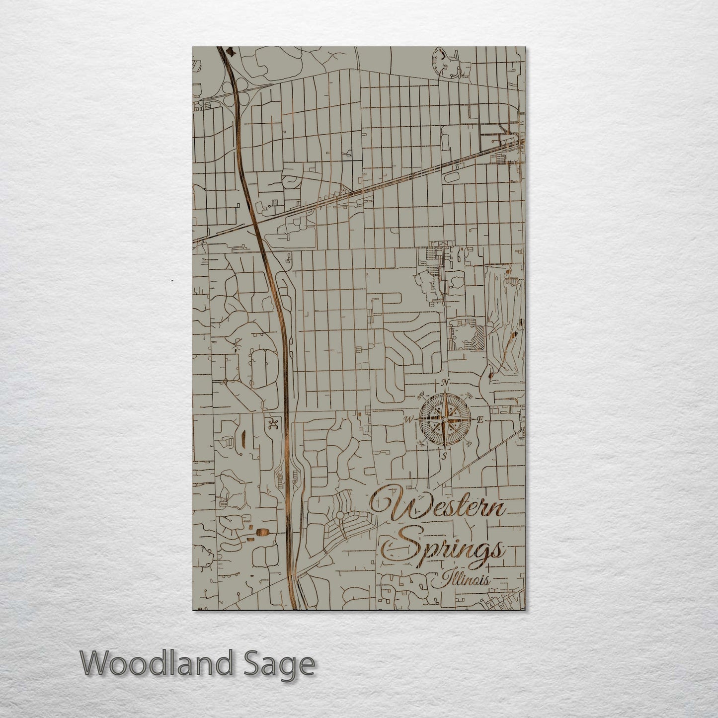 Western Springs, Illinois Street Map