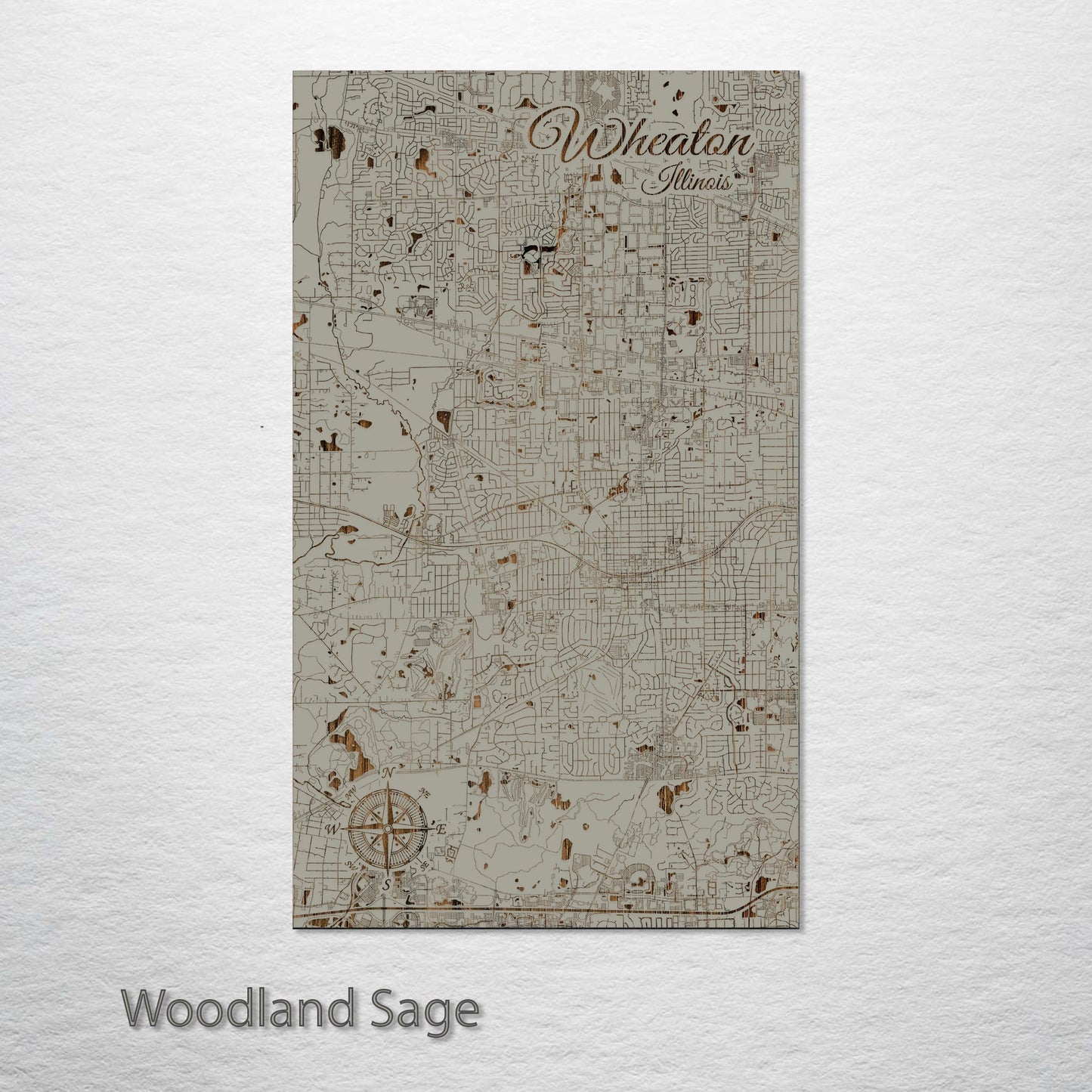 Wheaton, Illinois Street Map