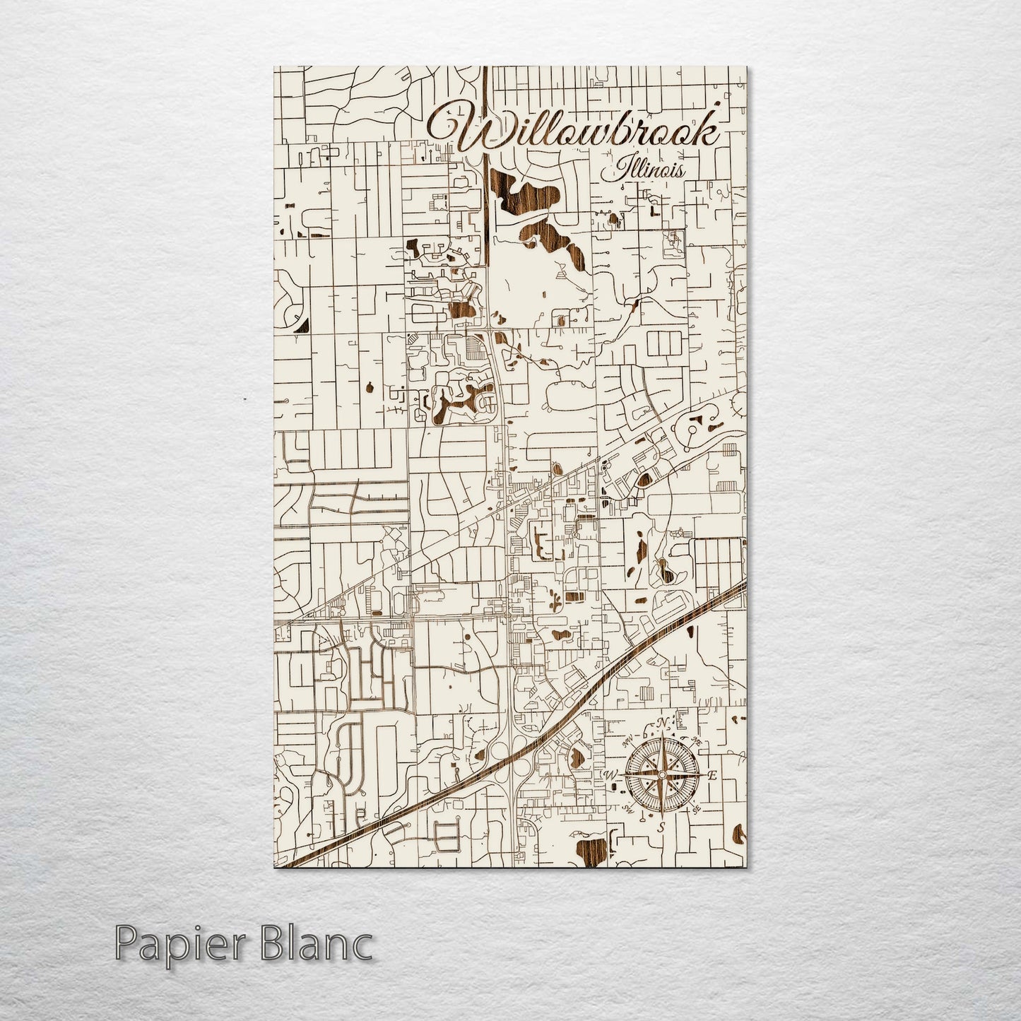 Willowbrook, Illinois Street Map