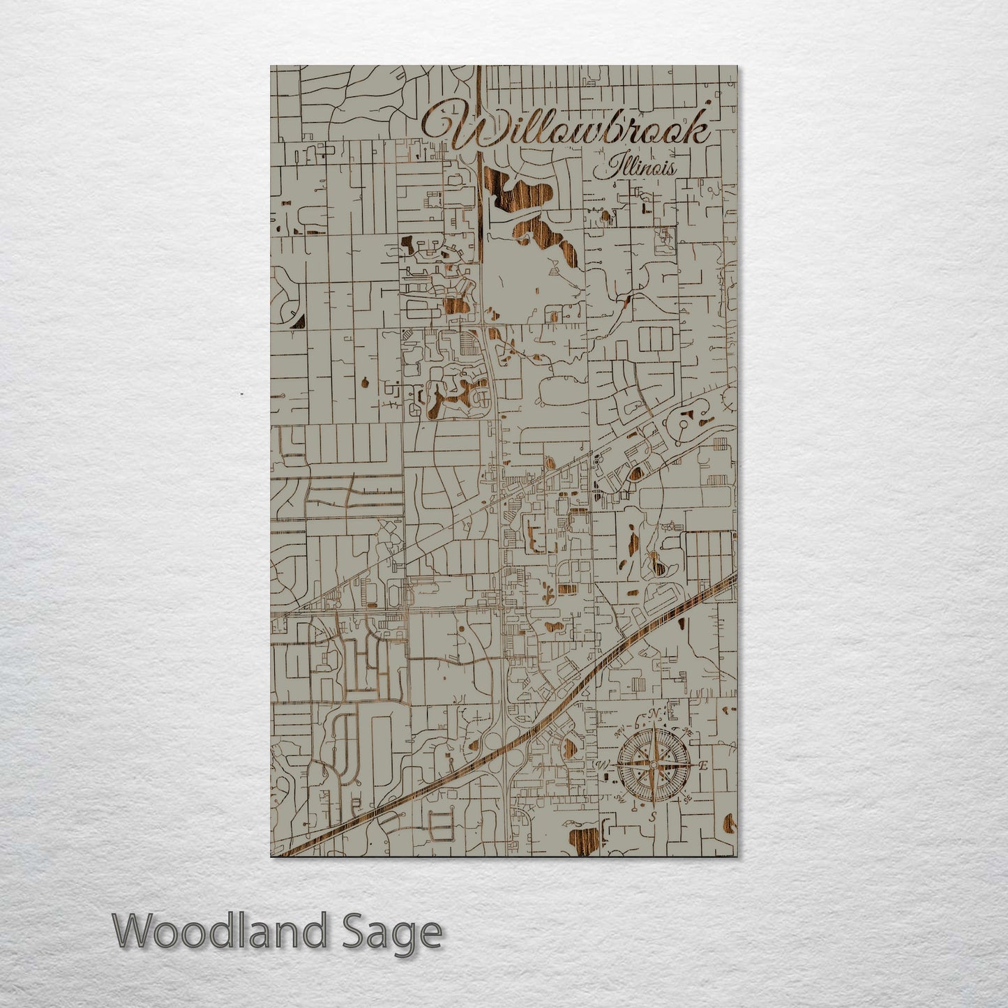 Willowbrook, Illinois Street Map