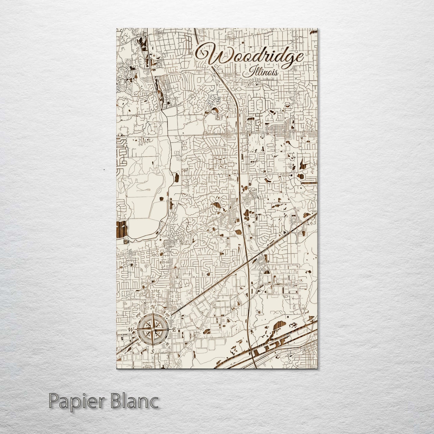 Woodridge, Illinois Street Map