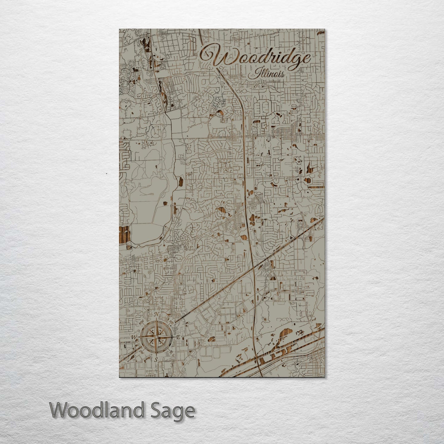 Woodridge, Illinois Street Map