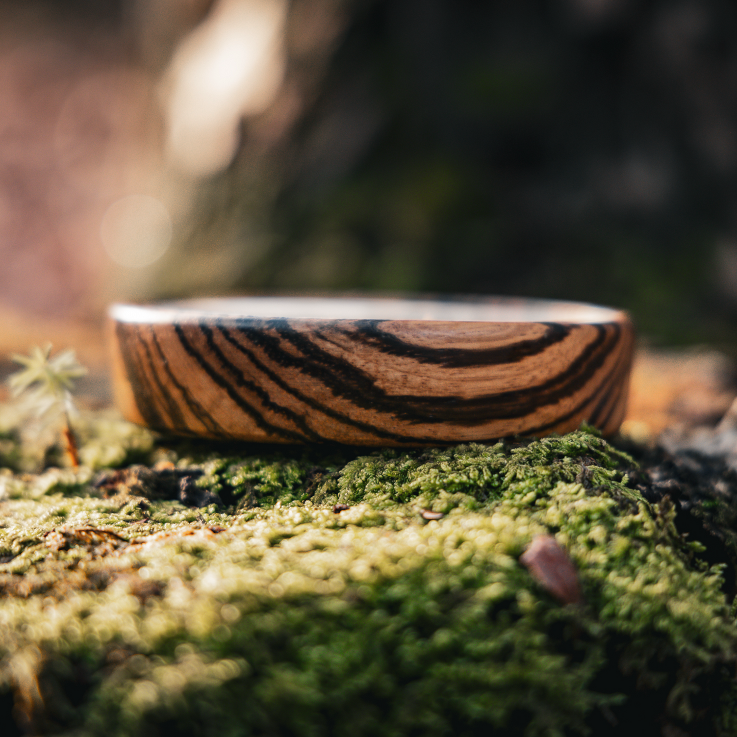 ZEBRAWOOD/GLASS WITH DYMONDWOOD STRIKER