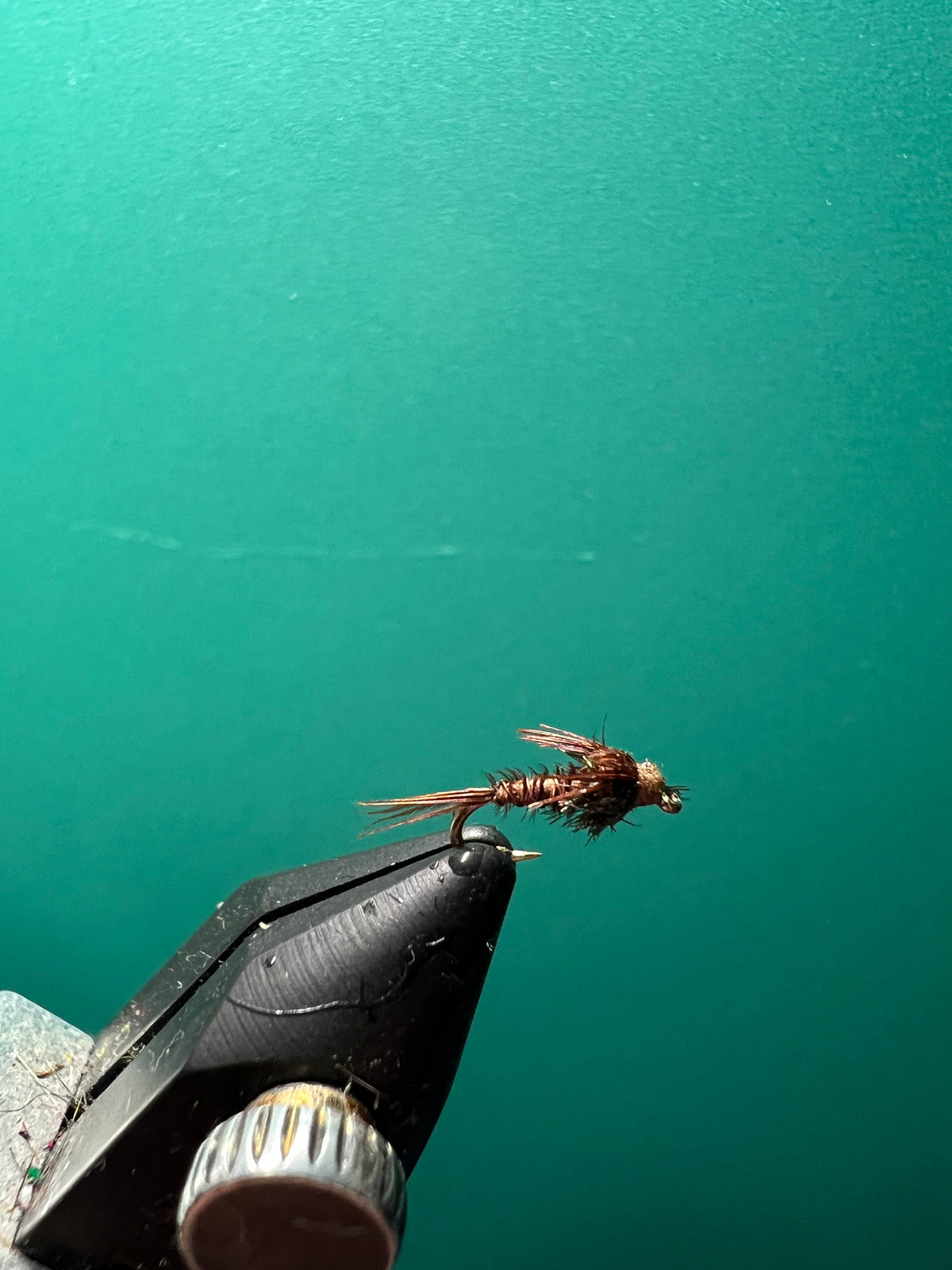 Pheasant Tail