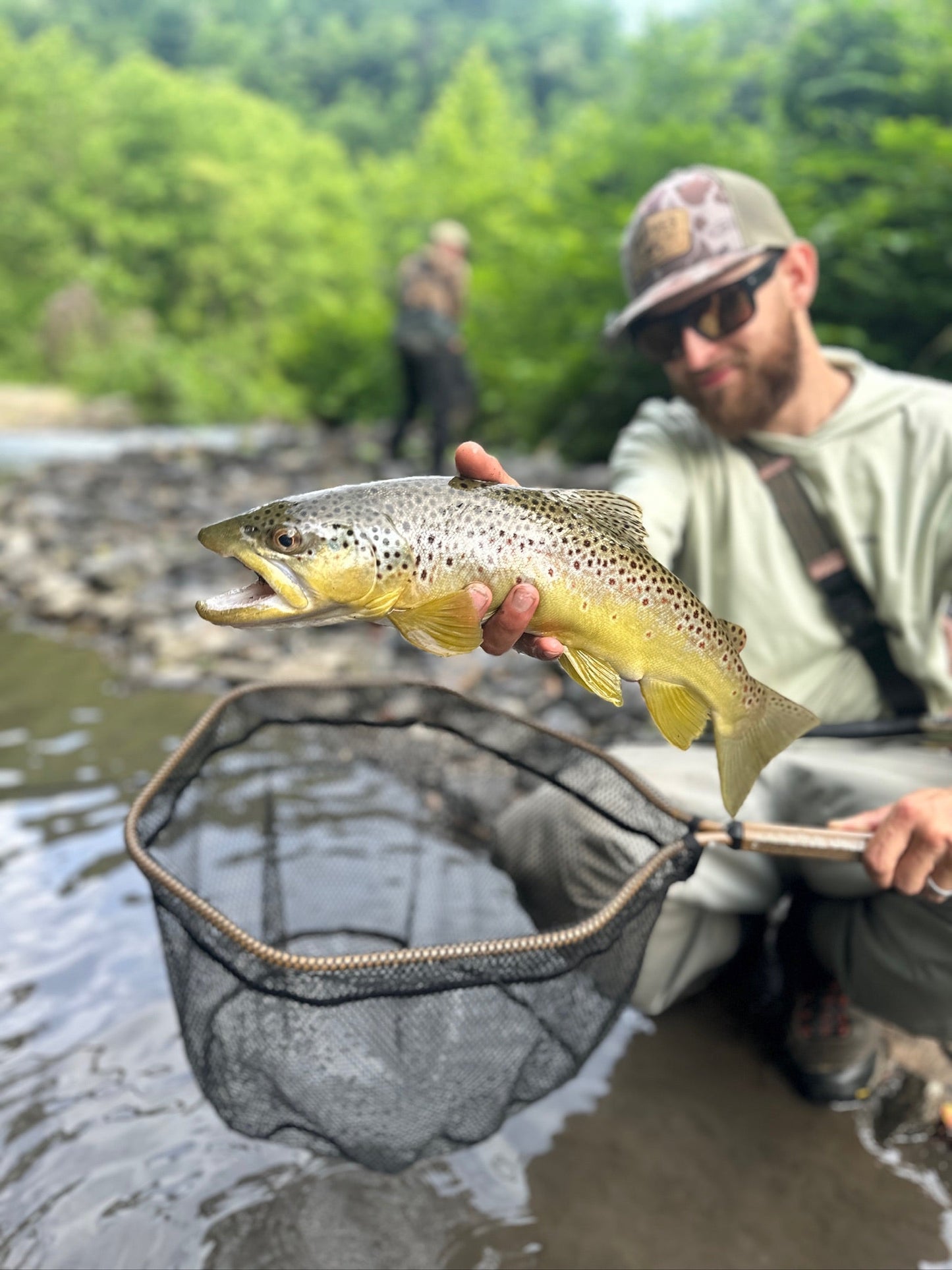 Native Brown Net