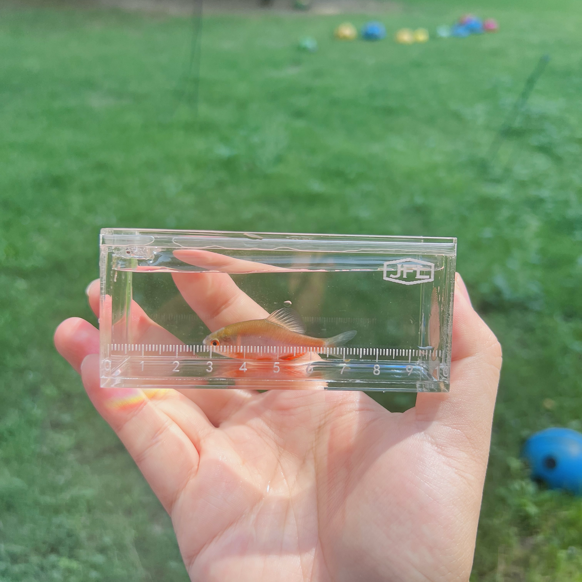 Fish Observation & Viewing Box – Ultra-Clear Acrylic