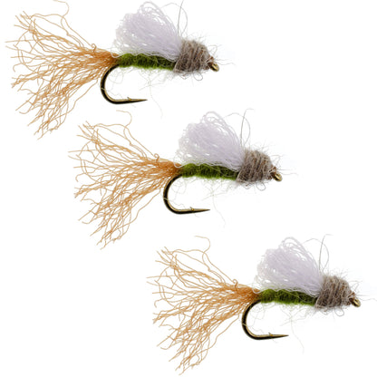 3 Pack Olive Iris Caddis Emerger Caddis  Trout Dry Fly - Hook Size 14