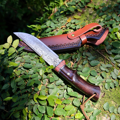 Terminator Japanese Hunting Knife with VG-10 Damacus Blade and Ebony Wood Handle