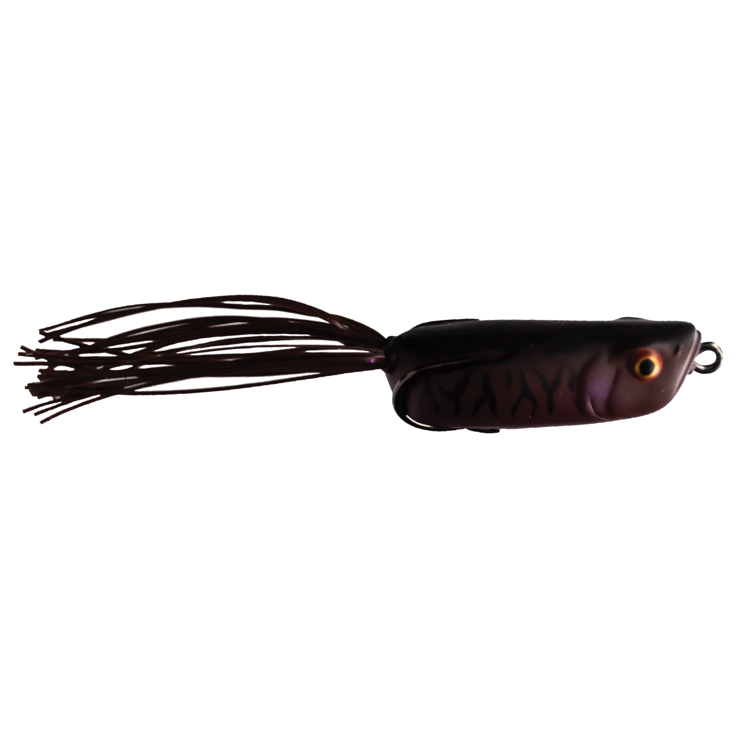 Jelly Toad - Swamper Jr.