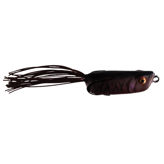 Jelly Toad - Swamper Jr.