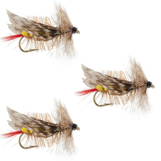 3 Pack Joe's Hopper Yellow Foam Body Grasshopper Fly - 6 Flies Hook Size 10