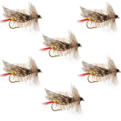 Joe's Hopper Yellow Foam Body Grasshopper Fly - 6 Flies Hook Size 10