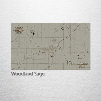 Osawatomie, Kansas Street Map
