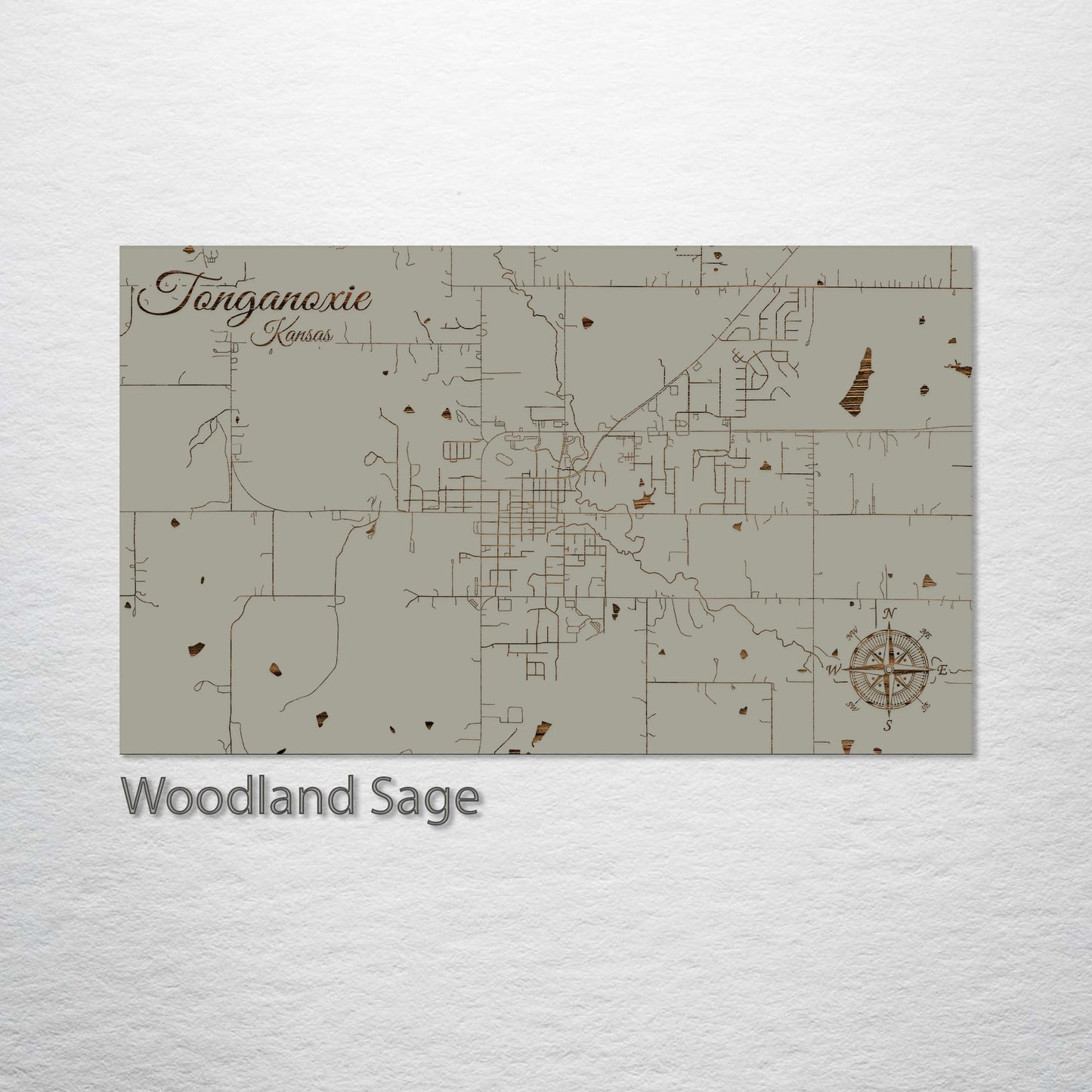 Tonganoxie, Kansas Street Map