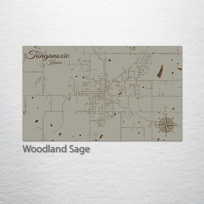 Tonganoxie, Kansas Street Map